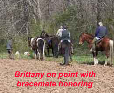 Field Trail on Horseback